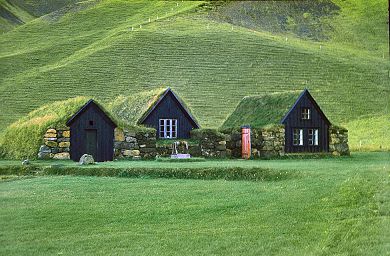 Island Skogar