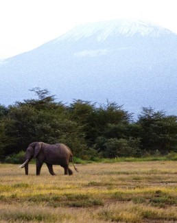 Foto: Kenia