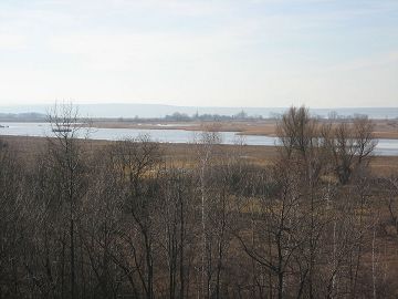 Neusiedler See bei Illmitz